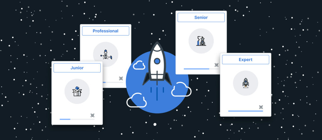 A graphical representation of a career and development model for software developers, featuring the career levels Junior, Professional, Senior, and Expert.