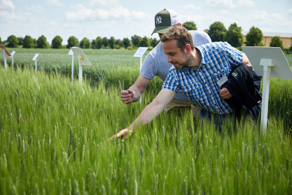 People in a field are walking across the grass