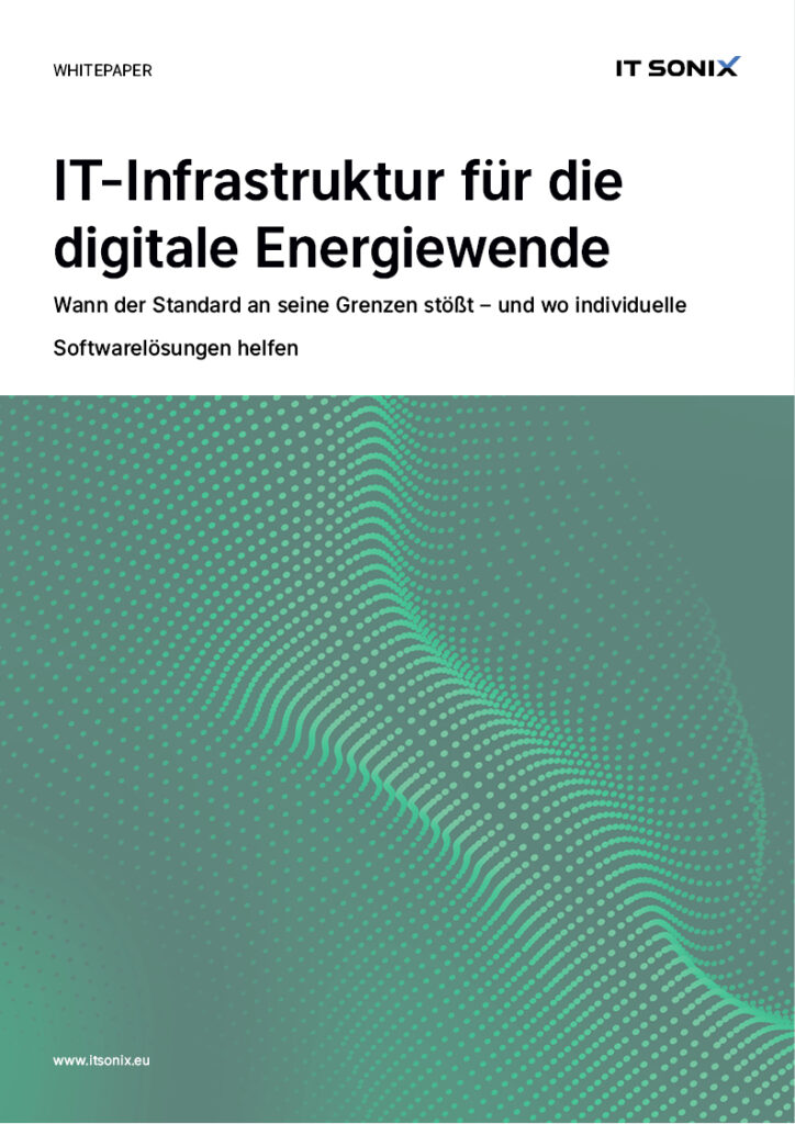 IT Sonix_White Paper Cover_IT Infrastructure Comparison: Standard vs. Custom Solution